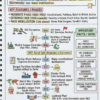 72x Capsule | Handwritten Style Infographic | GA Revision (English)