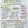 72x Capsule | Handwritten Style Infographic | GA Revision (English)