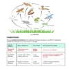 ENVIRONMENT & ECOLOGY- COMPREHENSIVE GUIDE 2026