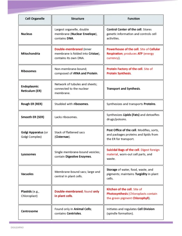 Beginner’s Capsule – General Studies | 10 E-Books | Foundation Edition