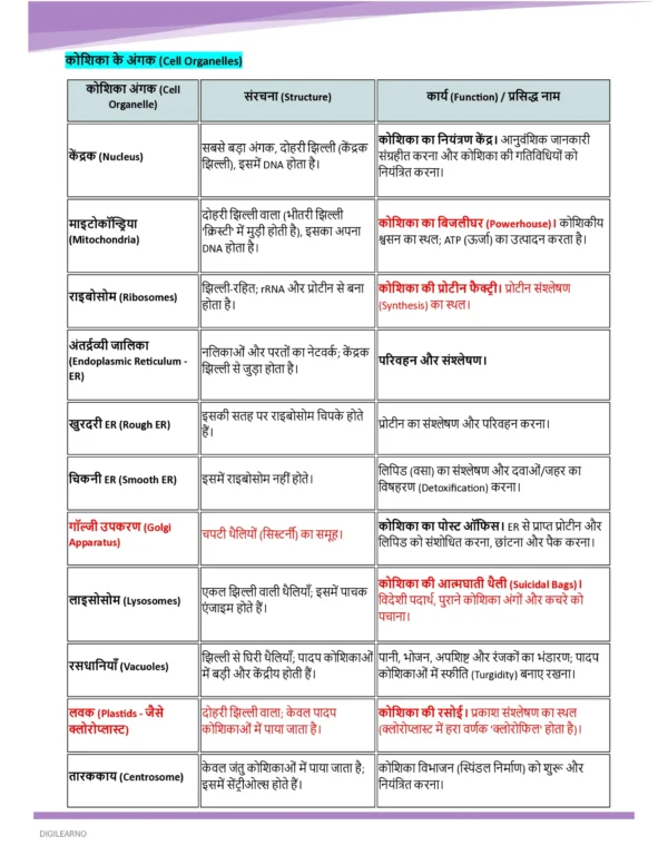 Railway Group D | General Science | General Awareness (हिंदी) | 3 E-Books | Exam Edition 2026