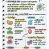 72x Capsule | Handwritten Style Infographic | GA Revision (বাংলা)