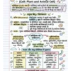 72x Capsule | Handwritten Style Infographic | GA Revision (हिंदी)