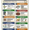 48x Capsule | GS-GA Revision (English) | Visual Infographic