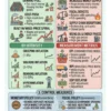 48x Capsule | GS-GA Revision (English) | Visual Infographic
